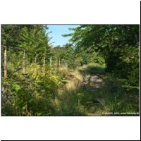 Ceinture 01 Grenelle 2011-07-31 18.jpg